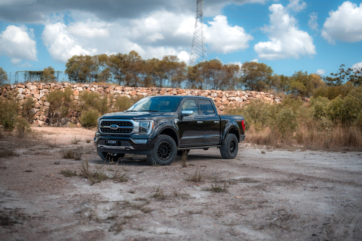 2020+ Ford F-150 Bushwhacker Flares